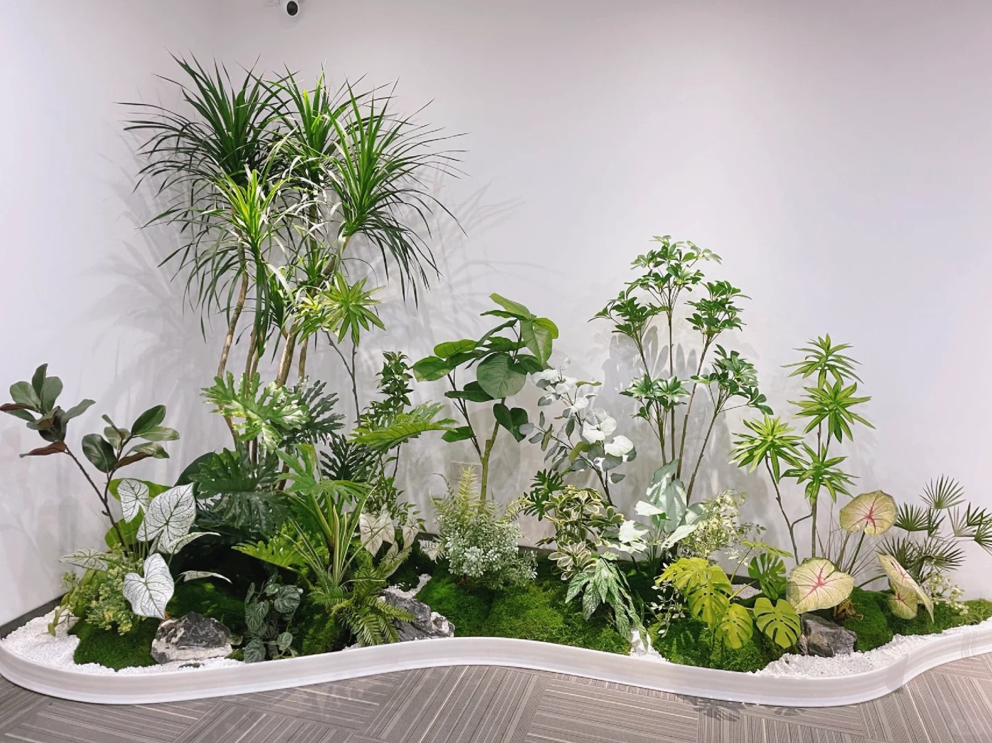 专业绿植租摆，宁波镇海为您营造别样生机环境